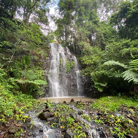 Nimbin Waterfall Retreat Ngoại thất bức ảnh