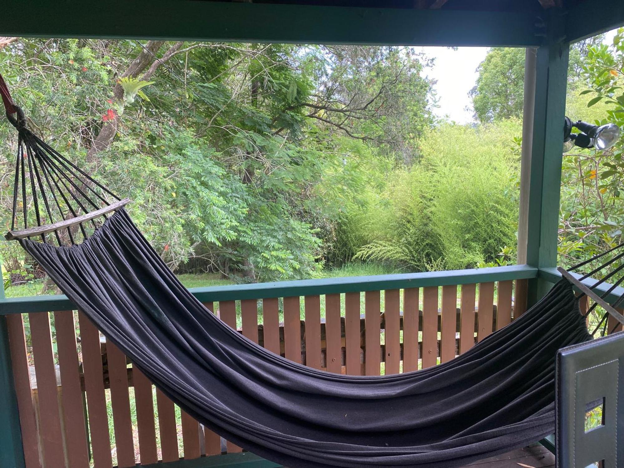 Nimbin Waterfall Retreat Ngoại thất bức ảnh