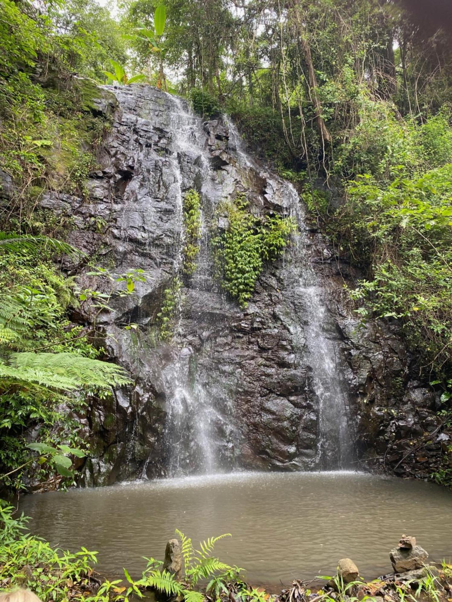 Nimbin Waterfall Retreat Ngoại thất bức ảnh